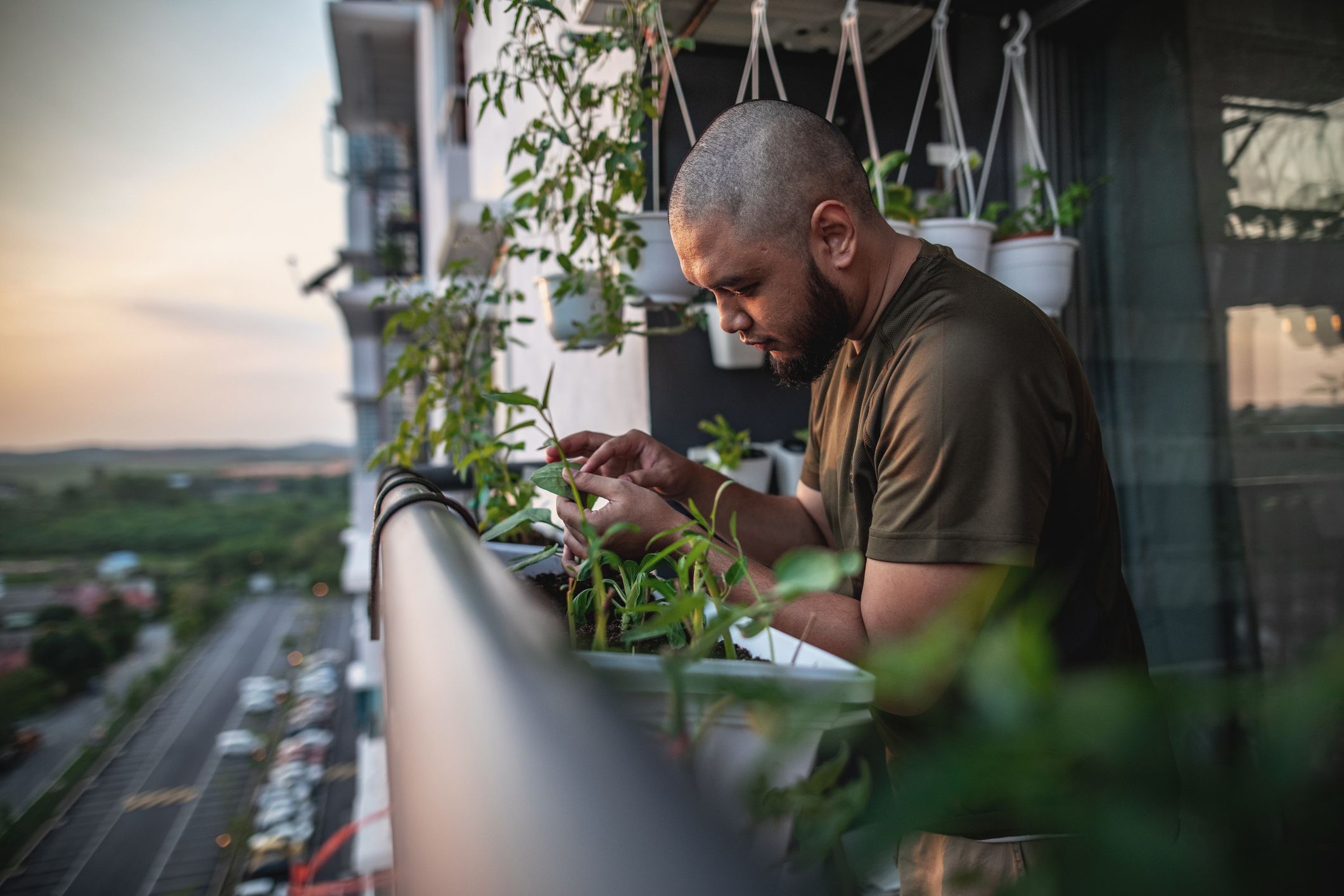 Urban Oasis: Mastering the Art of City Gardening