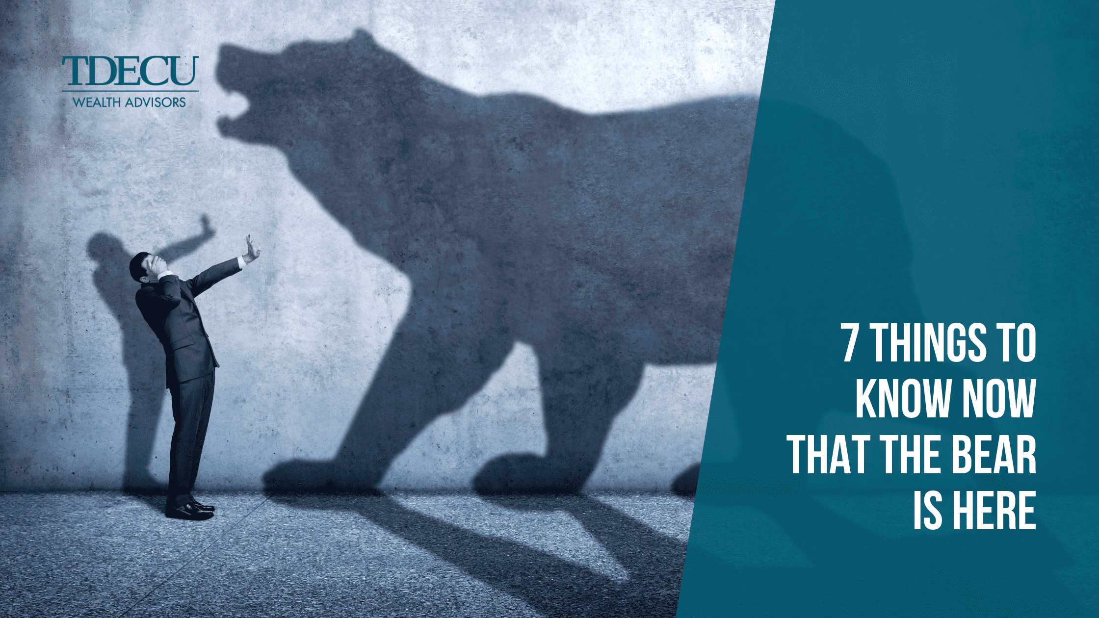 7 Things To Know Now That The Bear Is Here